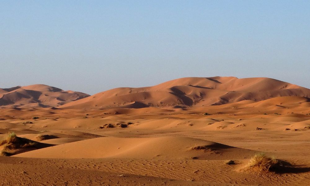 Morocco Desert Tours: Exploring the Majestic Sahara