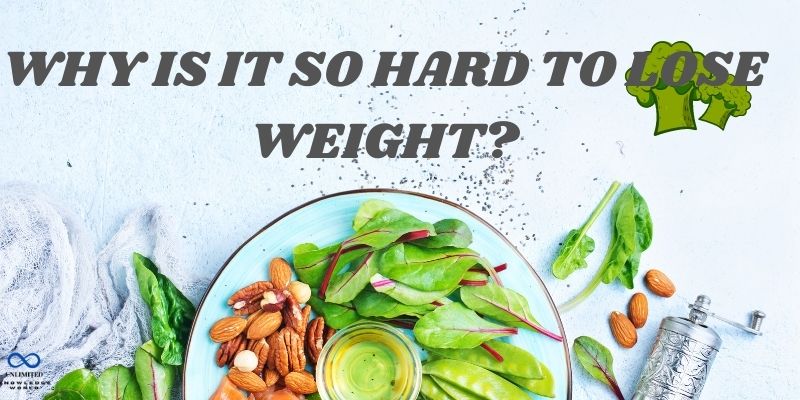 Why is it So Hard to Lose Weight?