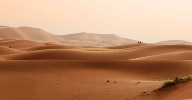 Exploring the Majestic Sahara Desert Tours, 3 Day Tour from Fes to Marrakech