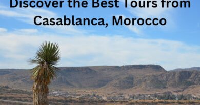 Discover the Best Tours from Casablanca, Morocco