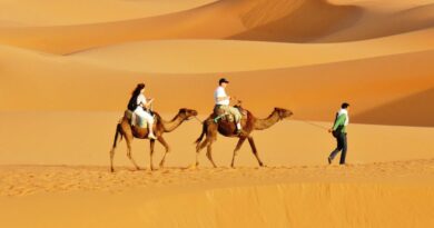 3 Day Tour from Fes to Marrakech